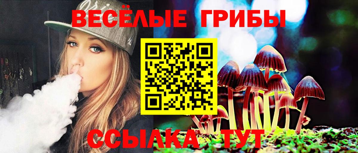Ярославль  Псилоцибиновые грибы Magic Shrooms  Вход с VPN  Псилоцибиновые грибы прущие грибы 